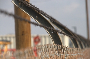 Optimized-barbed-751770_1920-(1).jpg
