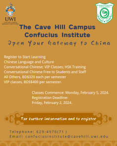 CI Evening Classes and VIP Classes 2024-2025