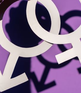 genderthumb.jpg