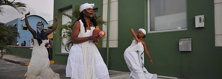 Diploma in Cultural Studies