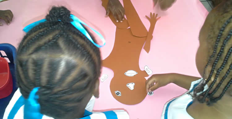 Diploma in Education (Primary)