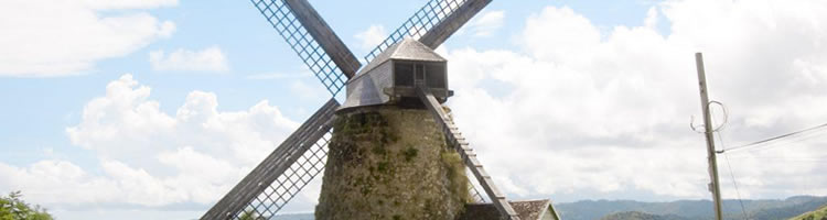 MA History