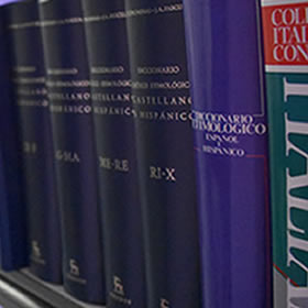 Research: Department of Language, Linguistics & Literature