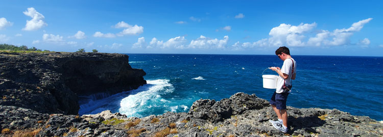 Supervised MPhil or PhD in Biochemistry, Biology, Chemistry, Ecology, Environmental Science or Microbiology