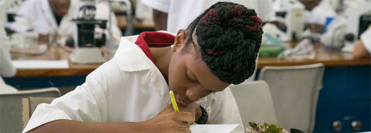 Biological Sciences Double Major