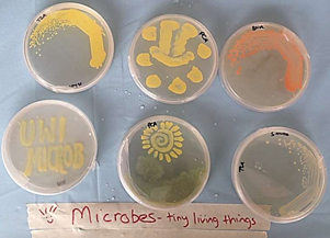 microbiology01_crop.jpg