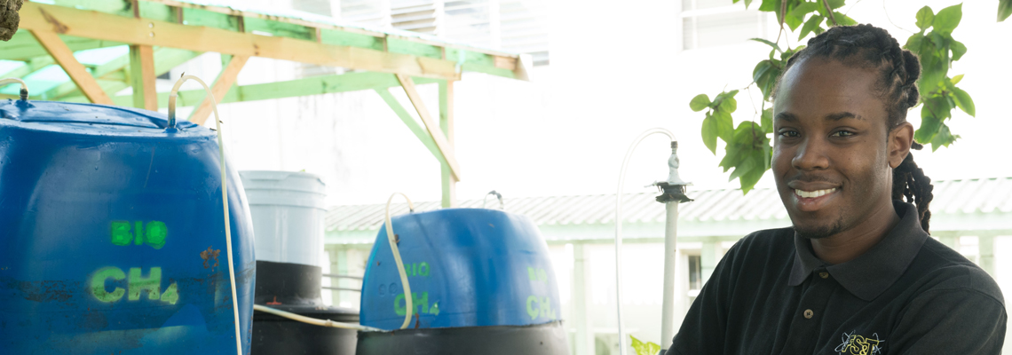 Bioenergy & Biofuel Research & Development Project