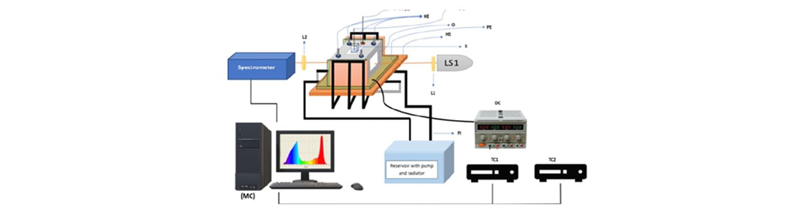 Dye Sensitized Solar Cells