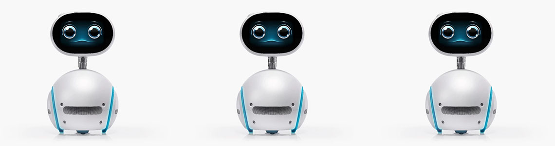 Transforming Companion Robots into Remote Work Assistants