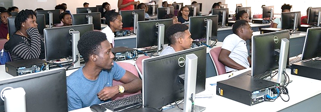 Diploma/MSc Information Technology