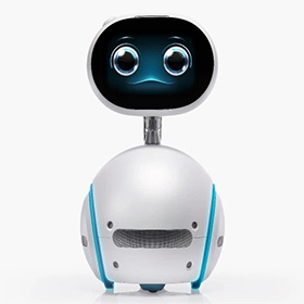 Transforming Companion Robots into Remote Work Assistants