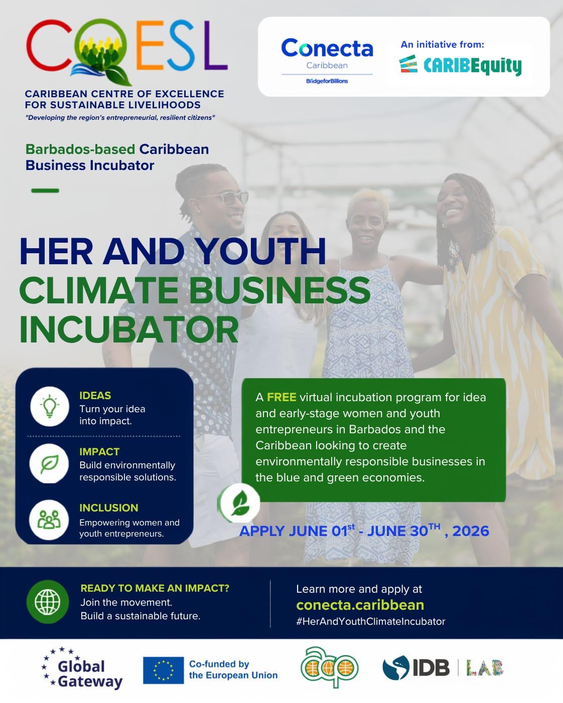 Climate business incubator flyer