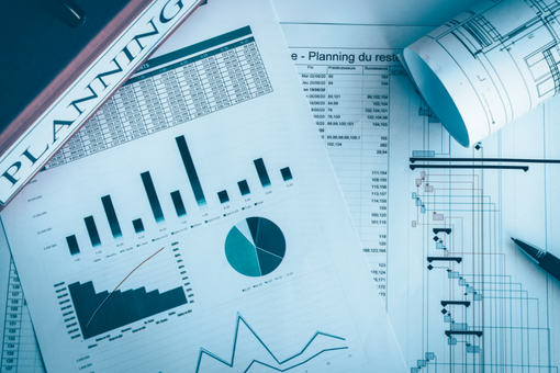 Project Management-Developing Projects