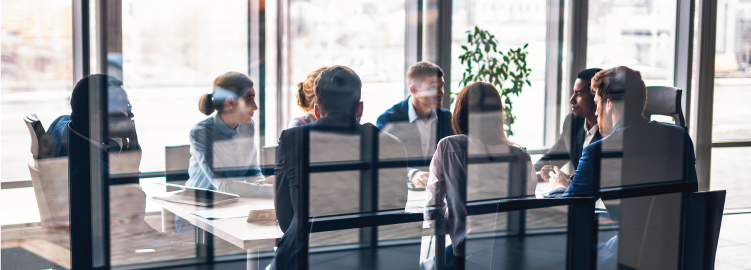 Legislative Drafting