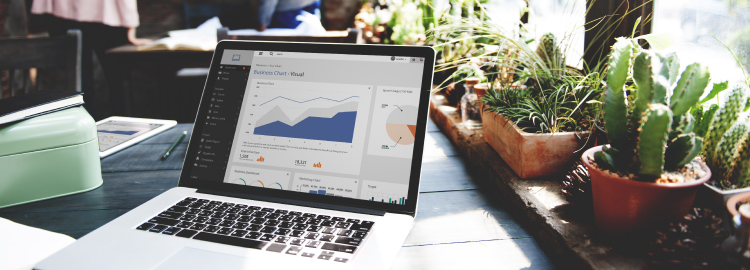 Business Analytics