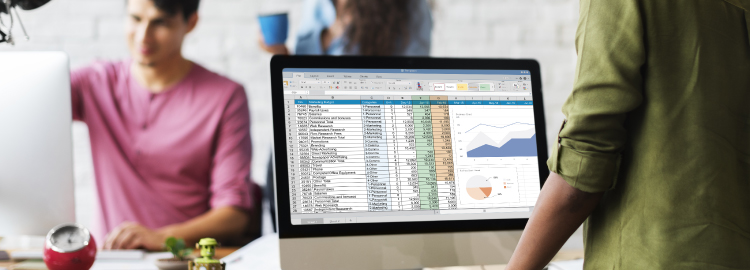 Data Analytics using Microsoft Excel (Advanced)