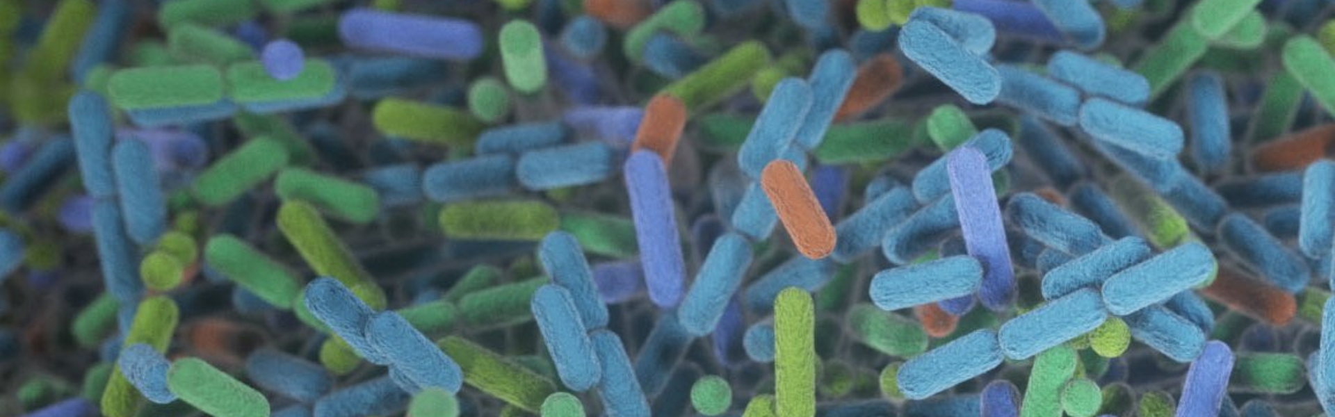 How Gut Bacteria May Influence Lupus