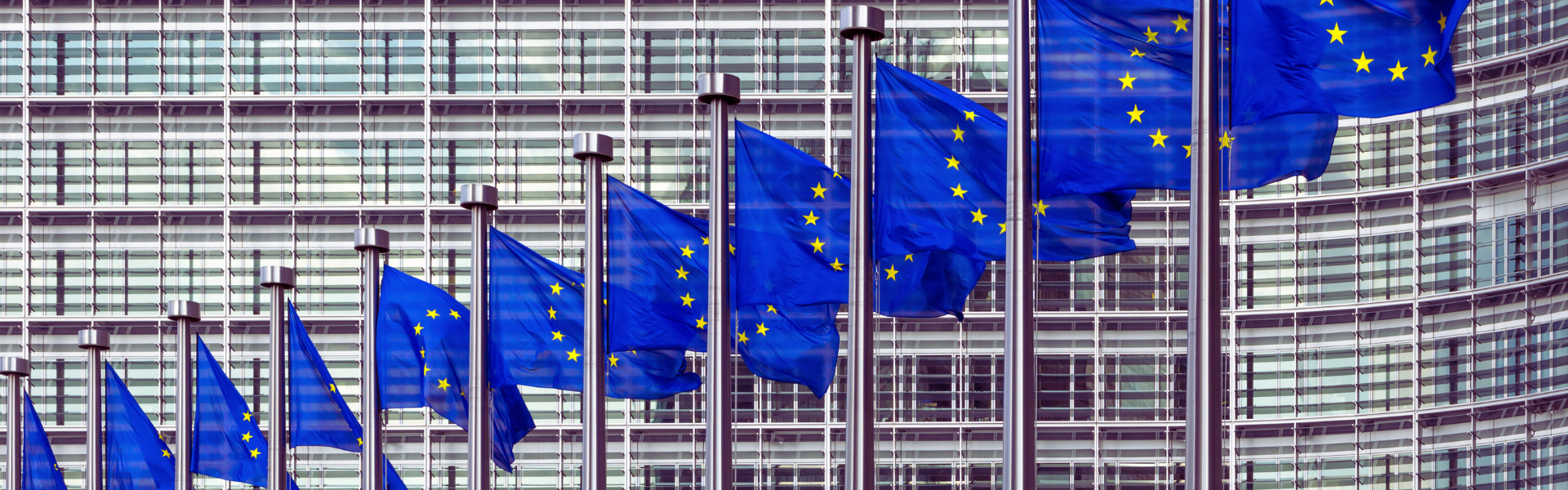 Caribbean-EU Trade Partnership and Prospects for Post-Pandemic Recovery