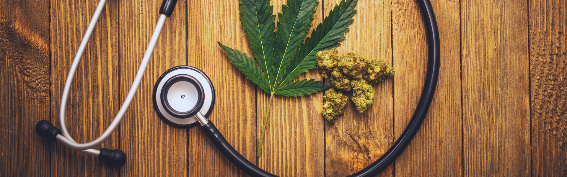 Student Researcher Examines Cannabis as a Treatment for High Blood Pressure