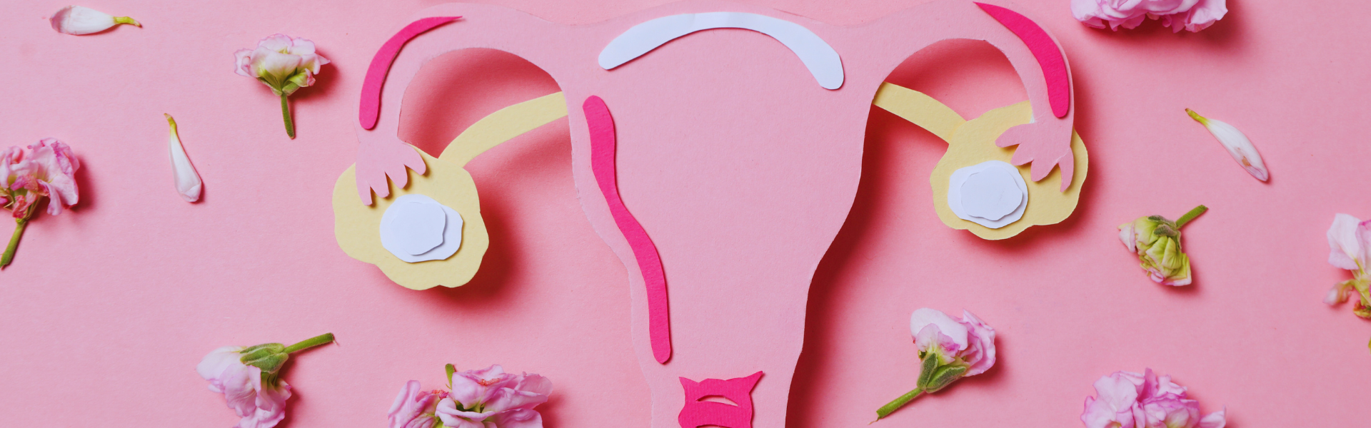 Partnership for Study on Women’s Health