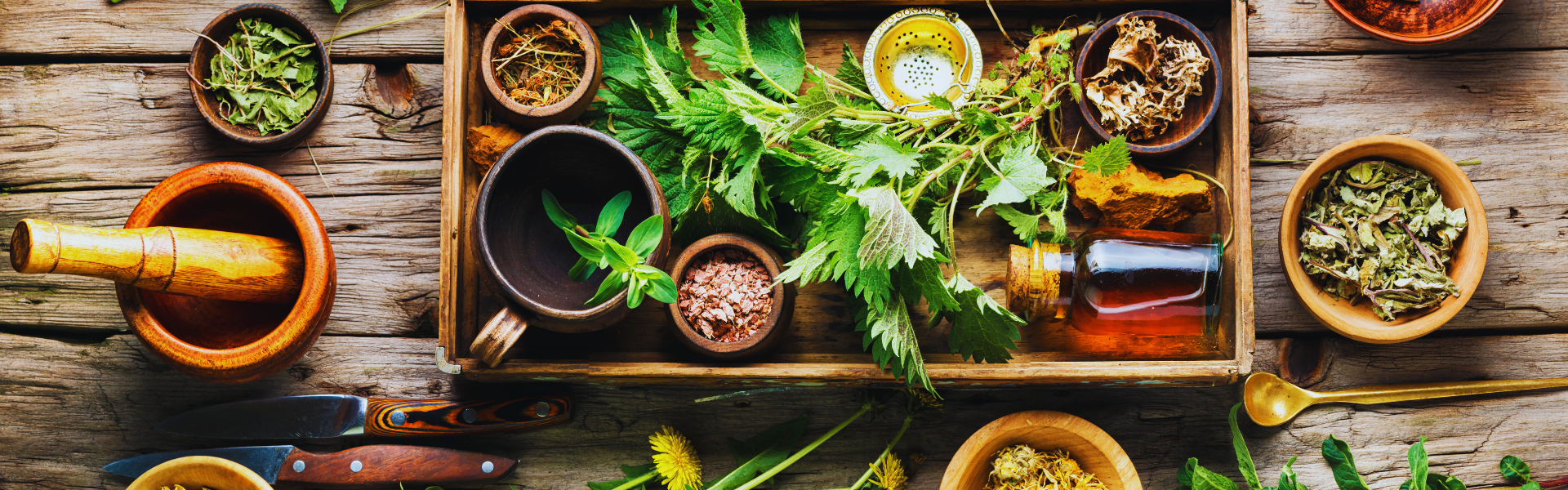 Healing Power of Barbadian Medicinal Plants: A Comprehensive Guide to Traditional Remedies 