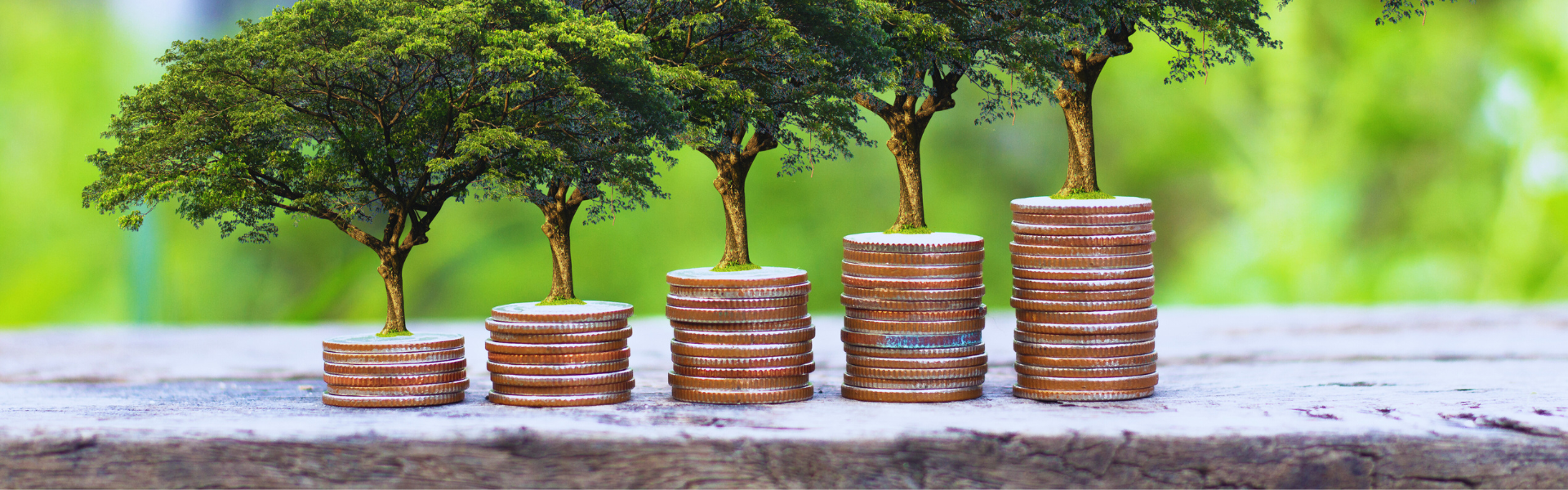 Green Jobs Pay More - Study Shows Sustainable Industries Offer Higher Wage Benefits  