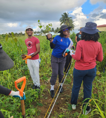 Centering Caribbean Voices on Sustainability