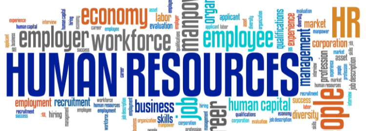 Executive Diploma in Management – Human Resource Management (ONLINE)