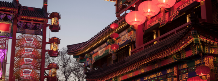 BSc. International Business with Chinese