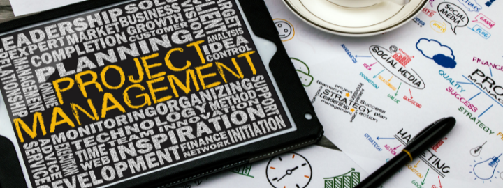 BSc. Management (Project Management Concentration)