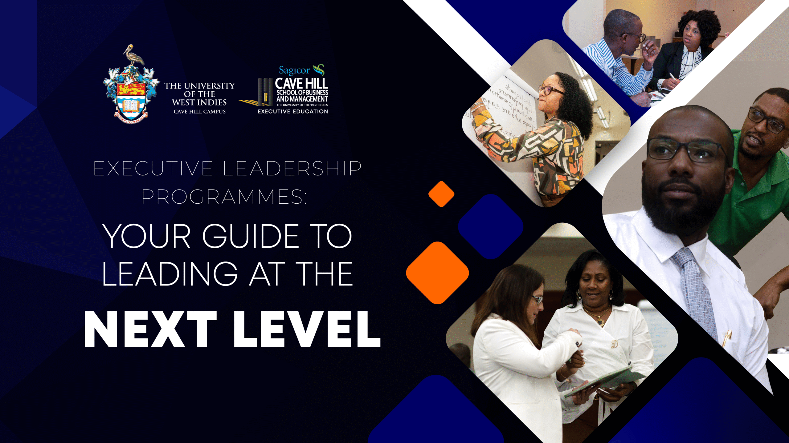 V2 elp banner copy (2)