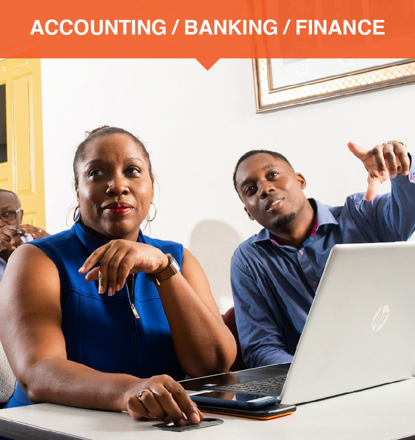 Accounting / Banking / Finance