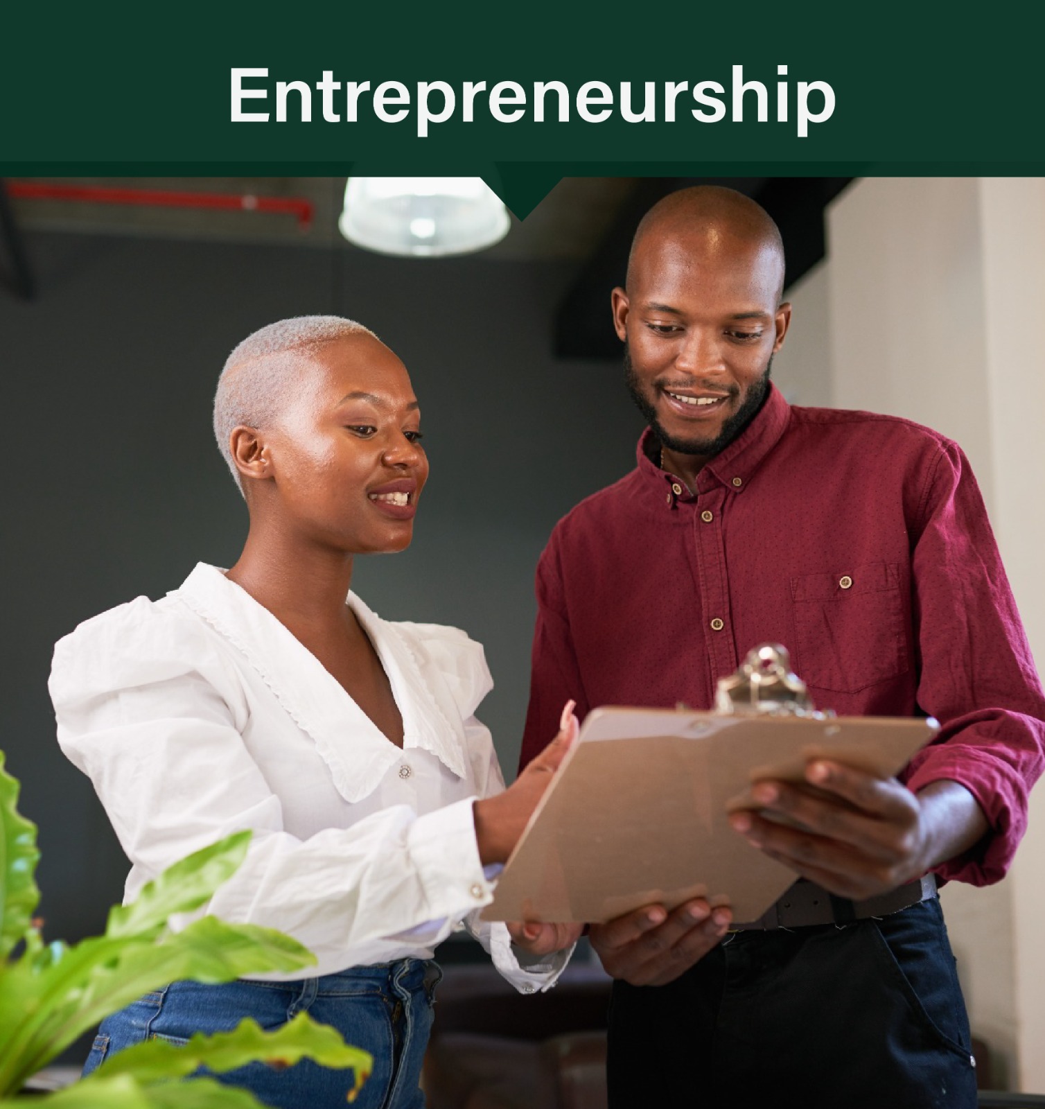 Entrepreneurship
