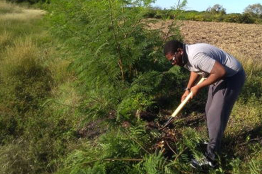 MPhil Environmenta Studies