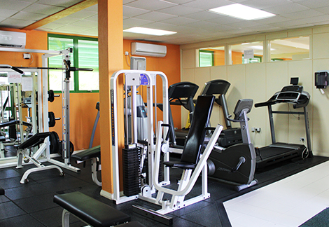 Health and Wellness